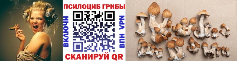 купить наркотики сайты Усинск Галлюциногенные грибы ЛСД
